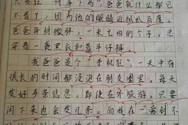 推荐一位江苏红色网友读四年级的女儿写的作文《我的爸爸》！写的很好，写的很棒！